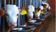 Feed Milling