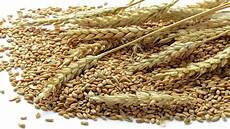Flour Milling Plants