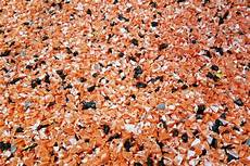 Hdpe Regrind