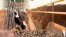 Pellet Feed Machines