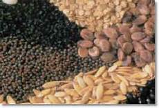 Semolina Milling Systems